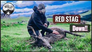 RED STAG AND WILD RABBIT | HOW TO COOK WILD RABBIT