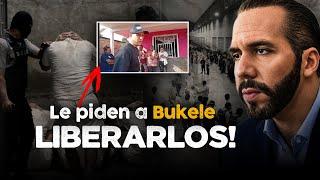 VENEZOLANOS piden a NAYIB BUKELE LIBERAR a presos del CECOT no son P@ANDILLEROS?