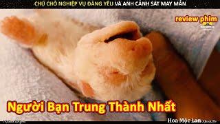 Chú Chó Trung Thành Xả Thân Cứu Chủ Nhân Trong Biển Lửa || Review Phim