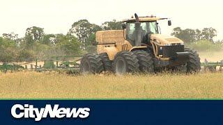 What does the future of farming look like in Canada?