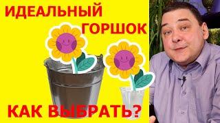 Как выбрать идеальный горшок для комнатного растения?