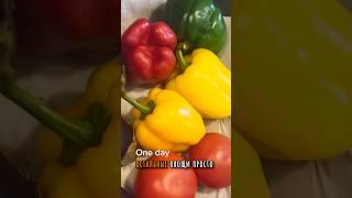 Многодетная мать на кухне. Готовлю для большой семьи. Обычная еда. Рецепты для души