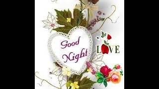 good night status good night status video  good night status whatsapp  good night gif 