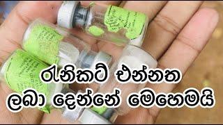 රැනිකට් එන්නත නිවැරැදිව ලබා දෙන ආකාරය, #the quail farm sri lanka #vaccine #