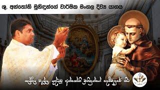 St. Anthony's Feast 2021 Thalwila Parish, Diocese of Chilaw | Sunday Mass Sinhala |The Catholic View