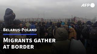 Dozens of migrants arrive and wait at the Belarus-Poland border crossing | AFP