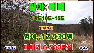 물번,701번) 임야,12.930평 준보전산지.3.900평 포함 되여 있고 특히, 경사도10~15도 아주 낮은 야산입니다, 매매가,6.500만원에 매매합니다, 차량진입됩니다,