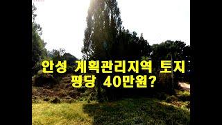 경기도 안성시 미양면 계획관리지역 임야 매매  - 약  5000평