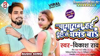 #Chamaran_Hayi Ahi Ke Ghamand Ba | चमारान हई एही से घमंड बा | #vikash_rao Chamar Song #chamar