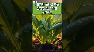 시금치의 놀라운 효능, 건강한 삶을 위한 슈퍼푸드 #건강관리 #건강식품 #건강정보 #이슈 #지식 #음식