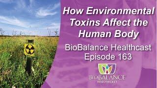 How Environmental Toxins Affect the Human Body