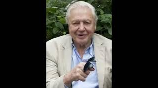 David Attenborough recites Chic Tweetz - Desert Sessions