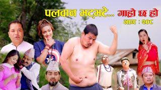 पलवान भट्भटे II Garo Chha Ho II Epi: 208 II June 24, 2024 II Begam Nepali II Karuna II Raj Kumar