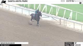 Work of the Day at Santa Anita Park: Senor Buscador worked 5 F in 1:00.00 on October 16th, 2024