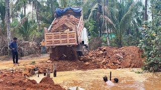 Amazing!! Delete the Pond Processing By Skills Dozer Komatsu D31P Pushing Stone Into Water