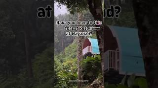 FOREST RESORT AT WAYANAD | RESORTS IN WAYANAD | call 8086000263 book vacations travel company