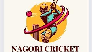 NAGORI  CRICKET #cricket #pakistan #new #psl #fifa #ipl2024 #2024 #icc #best #world