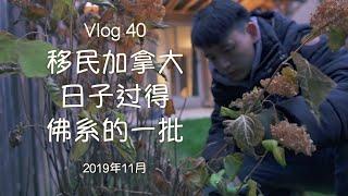 Vlog40 | 我留学移民加拿大后的生活，佛系得一批 | 多伦多-2019年11月