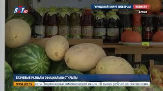 Бахчевые развалы официально открыты