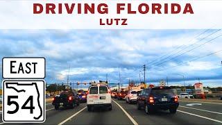 Lutz, Florida - Driving through this Tampa Suburb on FL State Route 54 East