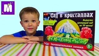 Выращиваем Сад в кристаллах