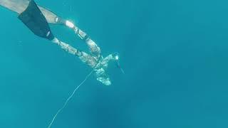 Spearfishing Mozambique Blue water hunting Spanish Mackerel