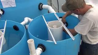 Big Aquaponic Greenhouse - Part 14 - Mineralisation Tank