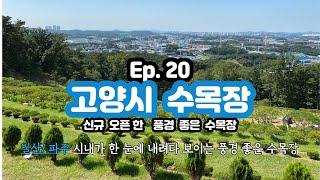 Ep.20 일산 시내가 한눈에 내려다보이는  수목장ㅣ가격 안내ㅣ박혜수실장(01088078011)