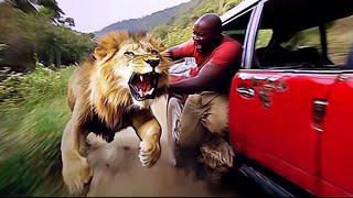 20 African Safari Trips That Went Terribly Wrong