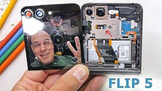 Samsung Z Flip 5 TEARDOWN - I have waited 4 Long Years...