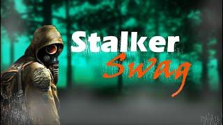 Обзор на игру Stalker swag