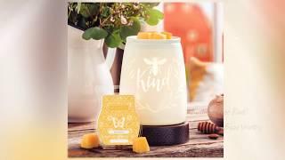 Scentsy May 2020 Warmer & Scent - Kindness (Bee Kind) Warmer