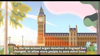 Organ Donation Law in England