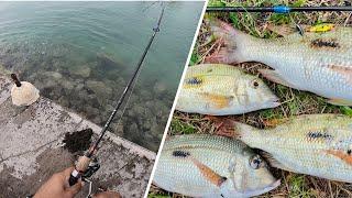 Ep#3-Shore Casting at Trou Aux Biches- Fishing in Mauritius..