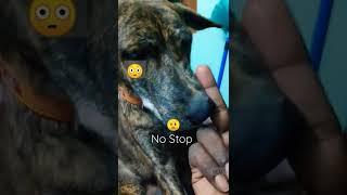 I just tried to my Girl|| her Reaction || Trending|| O shit No stop!!!