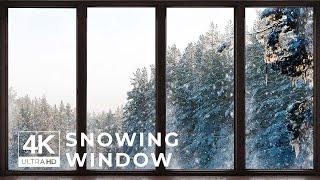 4K Snowing Winter Forest window View - Relaxing, Calming, Ambience