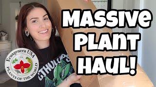 MASSIVE PLANT HAUL!!  8 New Houseplants from Ecuagenera 