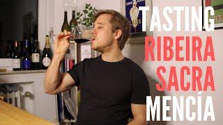 Tasting Heroic Ribeira Sacra's Bodega Ronsel do Sil Mencía | Wine Ghosts Tasting