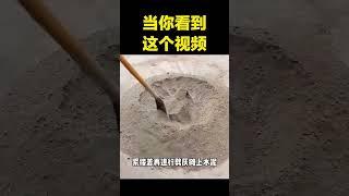 当你看到这个视频, 我绝对有理由相信你肯定会喜欢他, 因为他实在太漂亮了