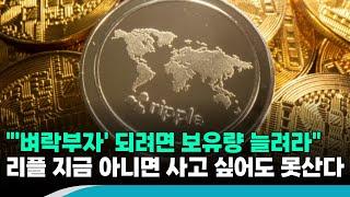 "'벼락부자' 되고 싶으면 보유량 늘려라"…리플(XRP), 저점 매수 최적의 기회