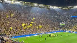 Celebrating the victory with the yellow wall  ( BVB 1-0 TSG / 02/09/2022)