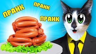 ПРАНКИ НА 1 АПРЕЛЯ! КОТ И КОШКА МУРКА РАЗЫГРАНЫ! НОВЫЕ ПРИКОЛЫ! 5 СМЕШНЫХ ПРАНКА НАД ДРУЗЬЯМИ