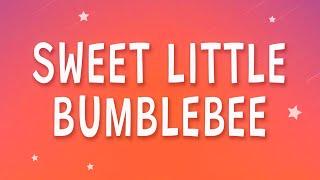 Bambee - Sweet little bumblebee (Bumble Bee) (Sped Up) (Lyrics)