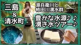 【三島＆清水町】源兵衛川と柿田川湧水豊かな水源を歩くツアー