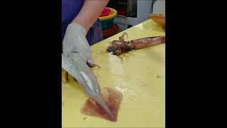 KOREAN STREET FOOD SQUID SASHIMI KOREA SEAFOOD MARKET 120621 01