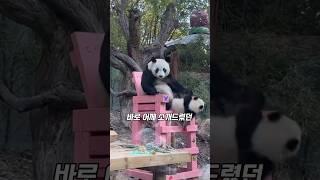 포토존 센터는 엄마자리야