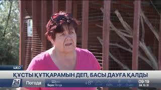 Шығыс Қазақстанда тырнаға қатысты дау шықты