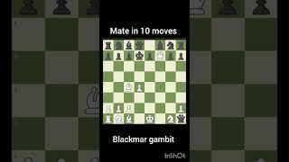 Mate in 10 moves #chess #gambit #checkmate #chesstraps