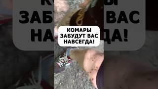 Быстрое средство от комаров без химии #огород #дача #сад #комары #участок