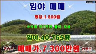 물번,662번) 급매,임야,40.765평 평당,1.800원 국유림70.000평 과 붙어 있는 농림지역,보전관리지역,임업용산지,준보전산지입니다,  매매가,7.300만원에 매매합니다~